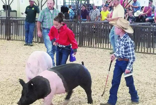 4H members showing hogs at the 2022 Pueblo County Fair. Courtesy Photo